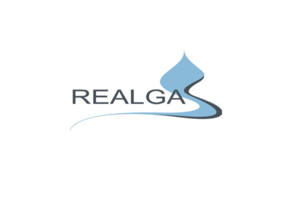 realgas_logo.jpg